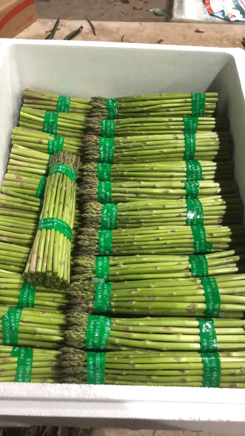 大棚青芦笋一二三级。全青。可定制代发量大质优价格优惠