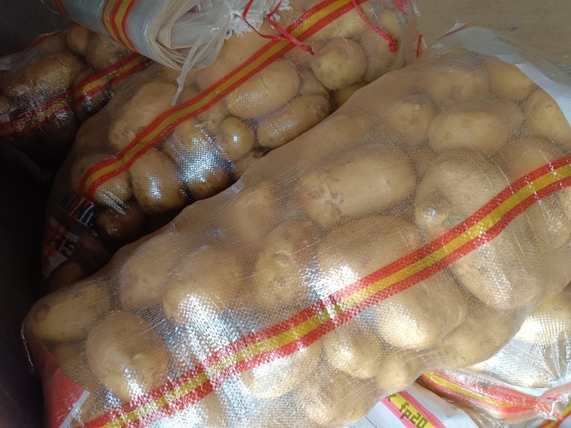 荷兰十五黄心大量有货，保质保量，价格不高需要的老板与我联