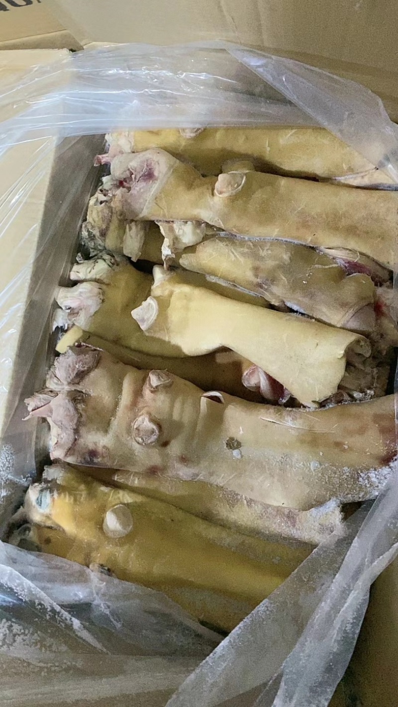 牛蹄，厂家直销，大量有货，欢迎各位老板咨询采购