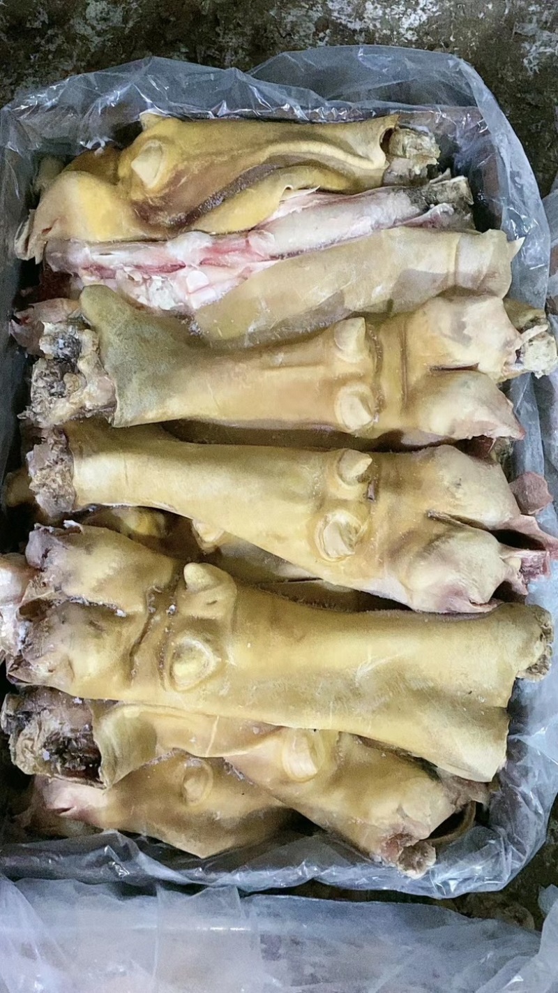 牛蹄，厂家直销，大量有货，欢迎各位老板咨询采购