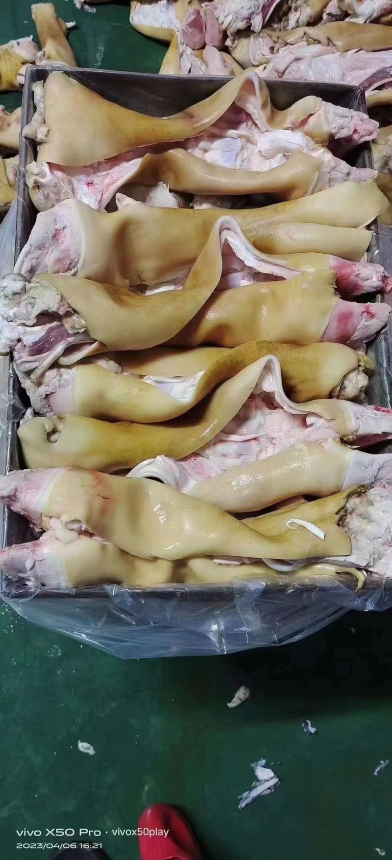 牛蹄，厂家直销，大量有货，欢迎各位老板咨询采购