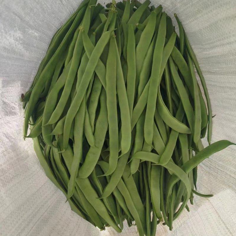 甘肃无筋豆大量上市，需要的老板联系，欢迎各位釆购