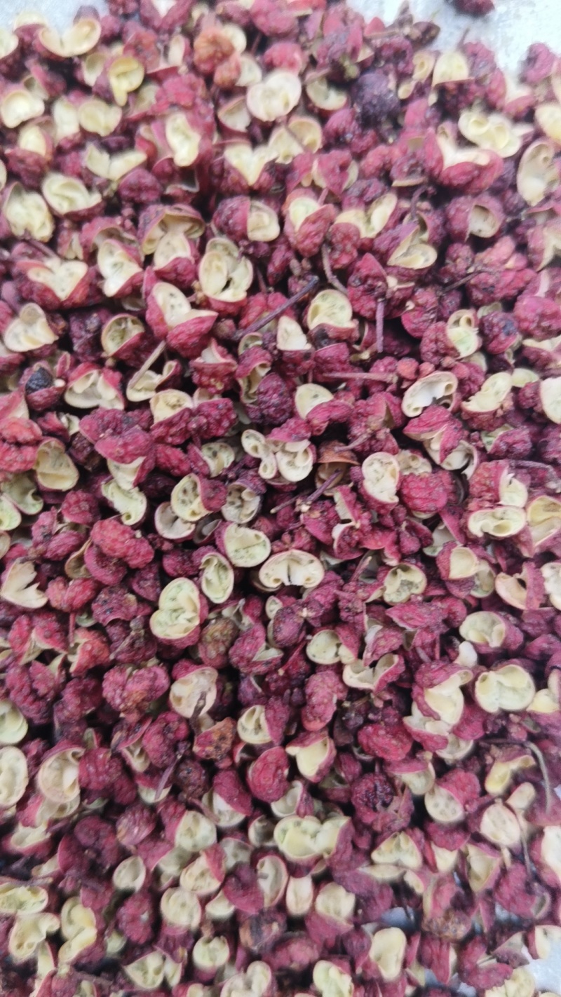 【推荐】精品茂汶大红袍花椒直供火锅店餐饮店欢迎洽谈