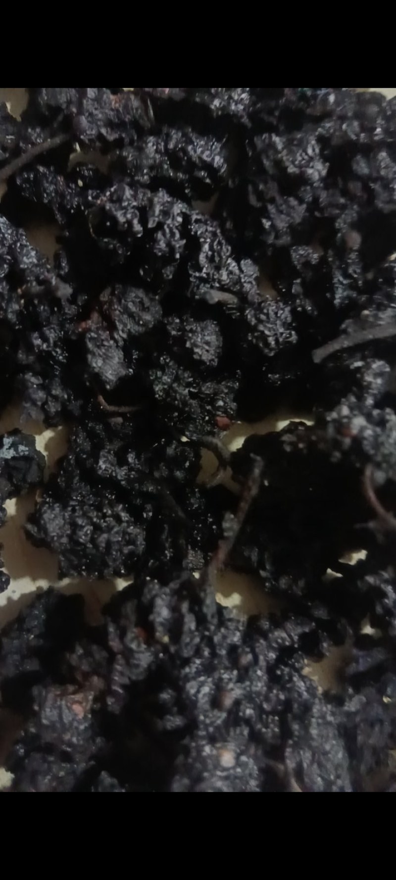 桑椹干
