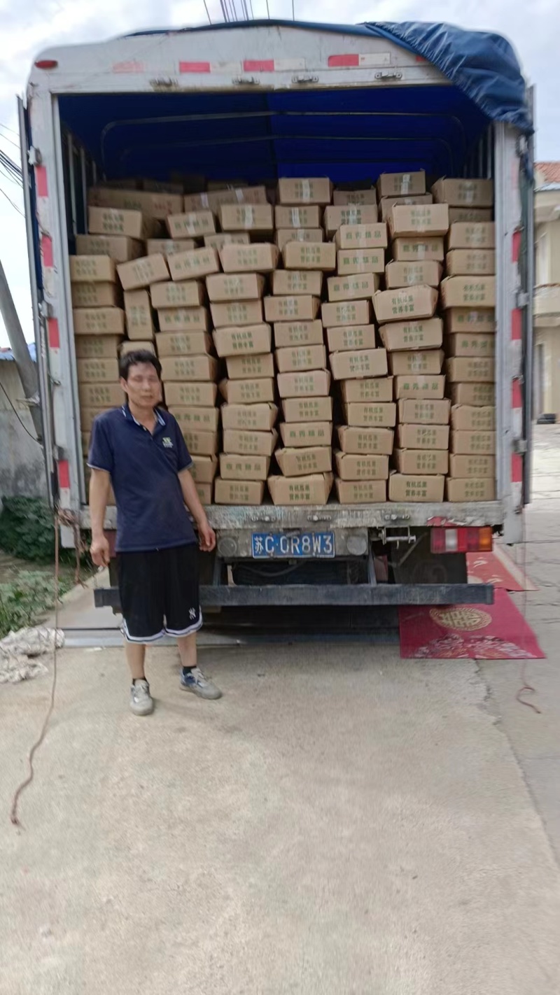小白瓜白玉香瓜产地直发货源充足量大从优可供商超
