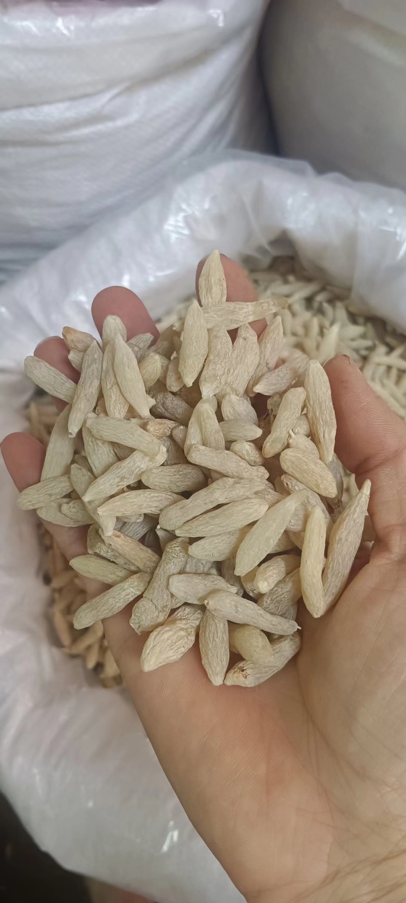 产地直发量大从优麦冬无杂质新鲜上市