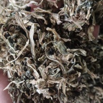 梅干菜量大从优，山东单县产地直发，可供商超市场，加工厂