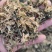 梅干菜量大从优，山东单县产地直发，可供商超市场，加工厂
