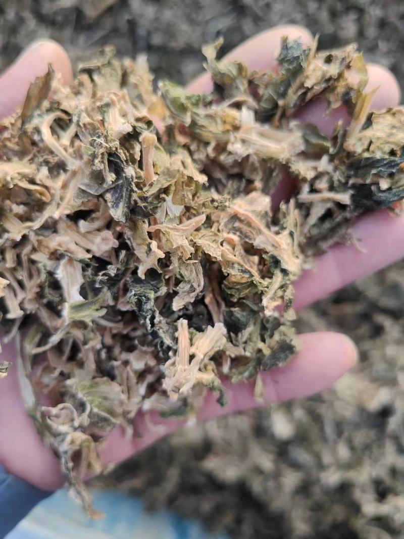 梅干菜量大从优，山东单县产地直发，可供商超市场，加工厂