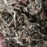 梅干菜量大从优，山东单县产地直发，可供商超市场，加工厂