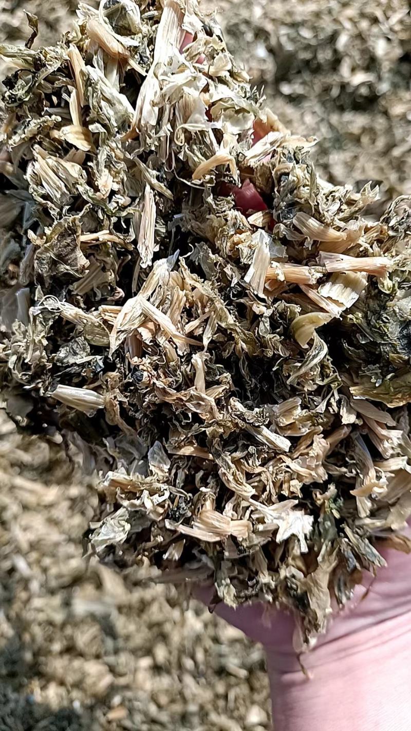 梅干菜量大从优，山东单县产地直发，可供商超市场，加工厂