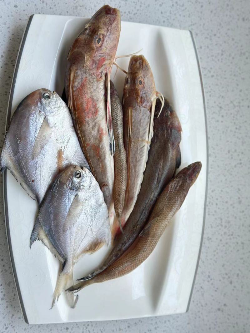 海杂鱼