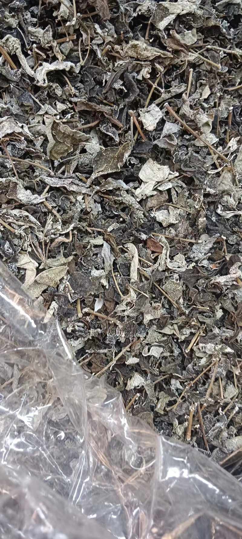 藤茶