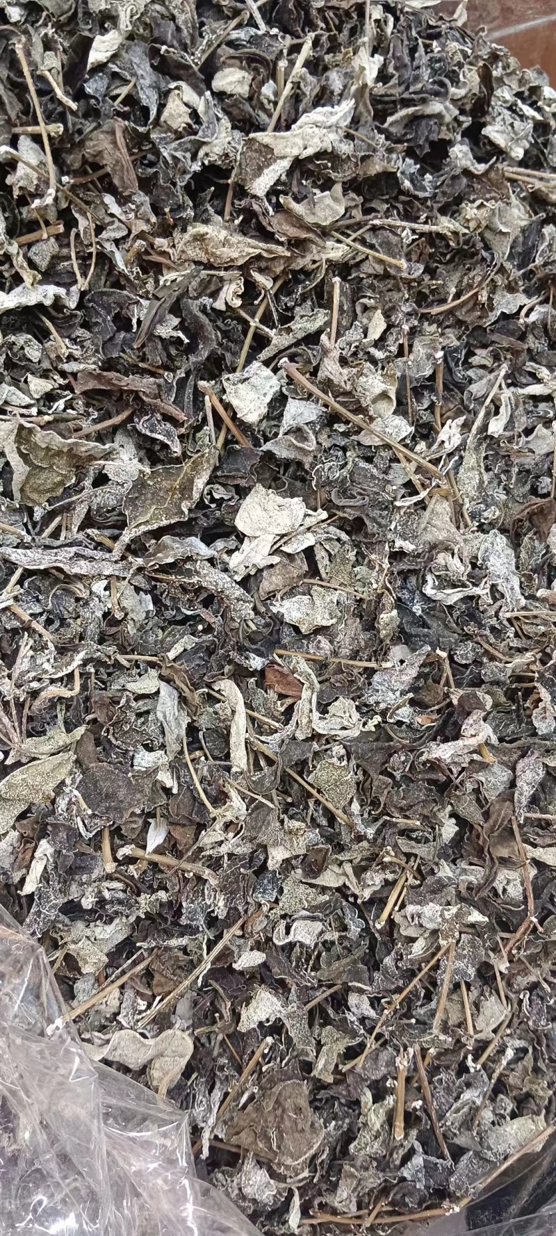 藤茶