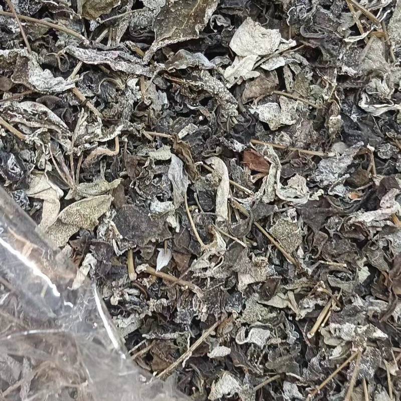 藤茶