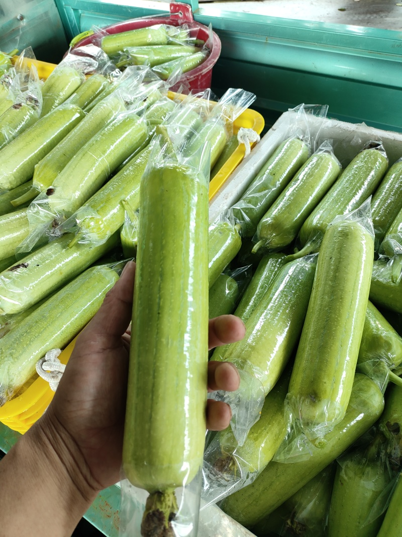 供应各种蔬菜。
