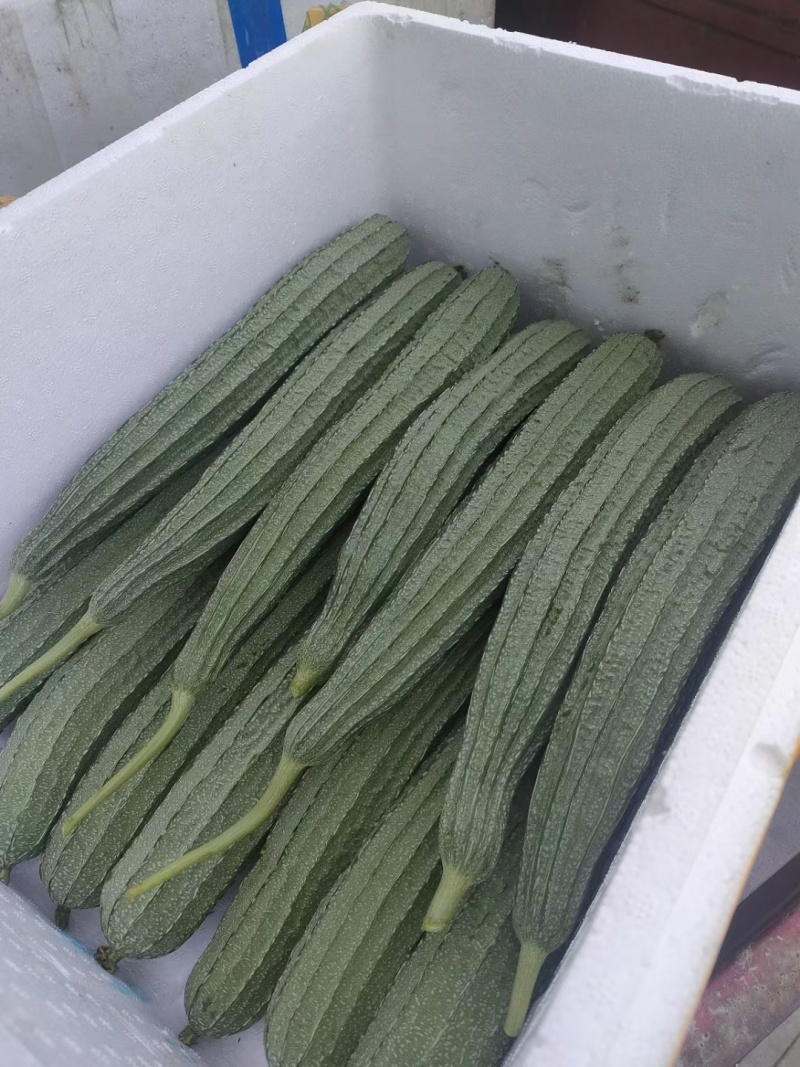 供应各种蔬菜。