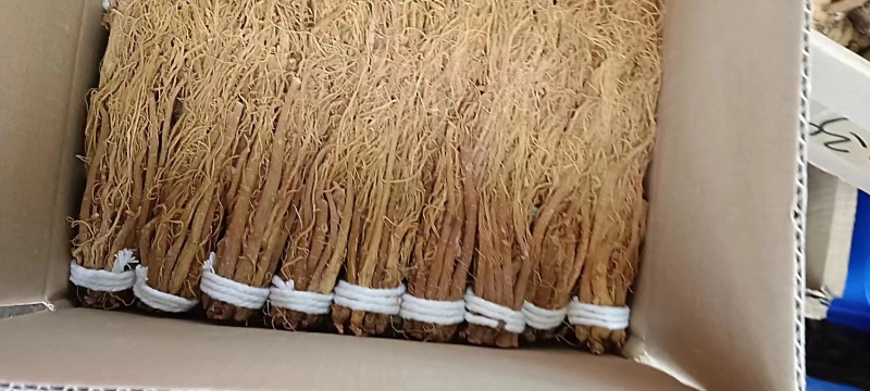 红参须
