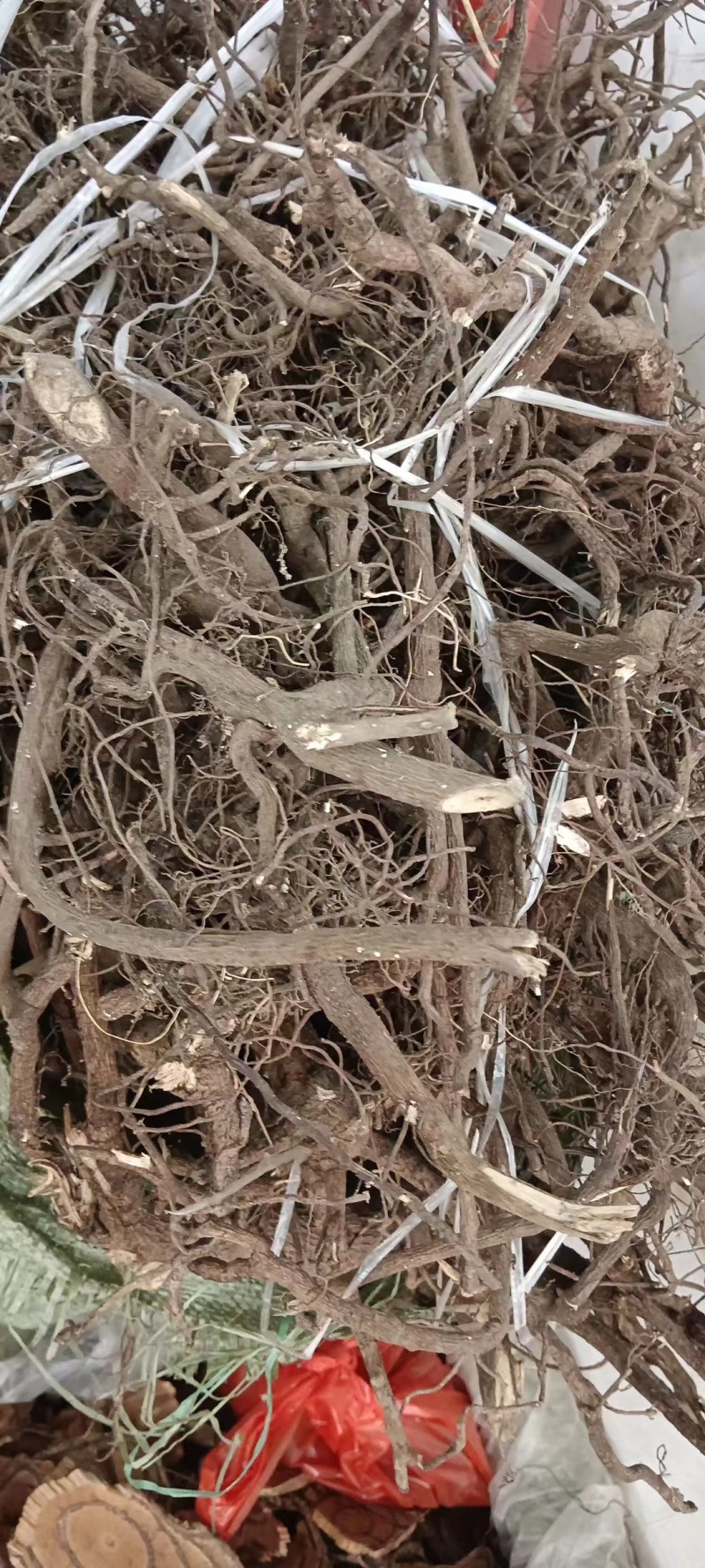 走马胎
