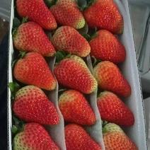 新鲜夏季草莓