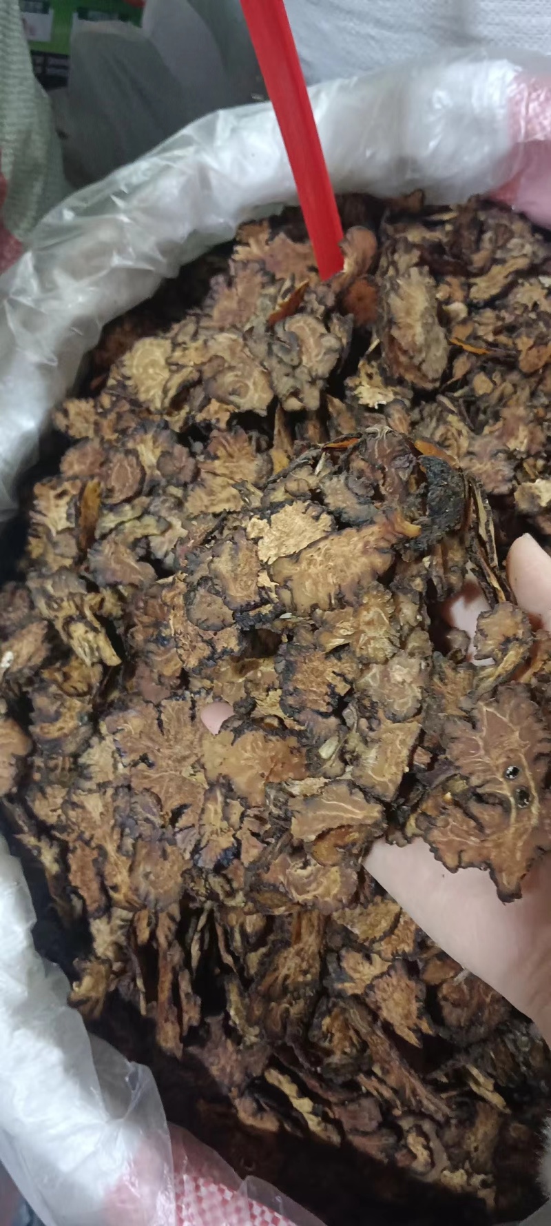 川穹
