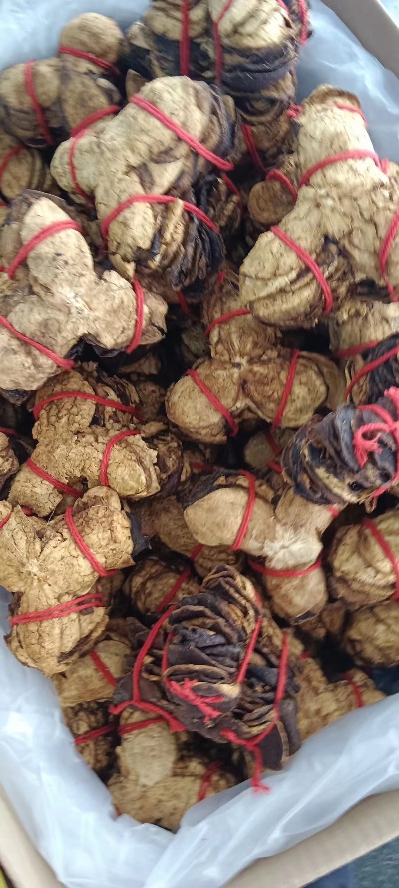 正宗陈皮上市品质保证欢迎联系咨询