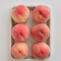 河北春丽新鲜水果精品桃子现货大量供应，量大从优欢迎选购。