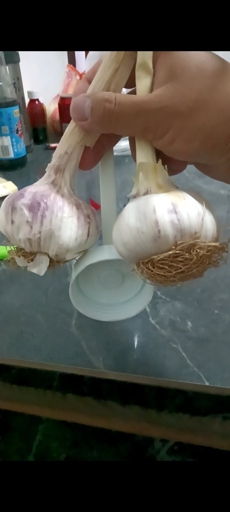 河北邯郸地区正宗淤泥紫皮大蒜