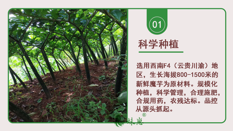 四川正宗纯魔芋粉纯正无沙小包装送纯碱