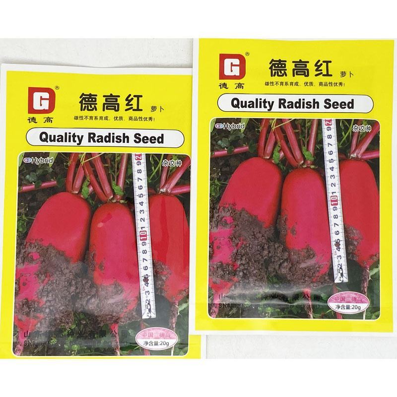 德高红杂交满身红萝卜种子高产55-65天红皮白肉萝卜种