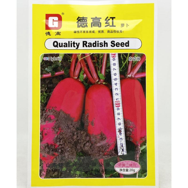 德高红杂交满身红萝卜种子高产55-65天红皮白肉萝卜种