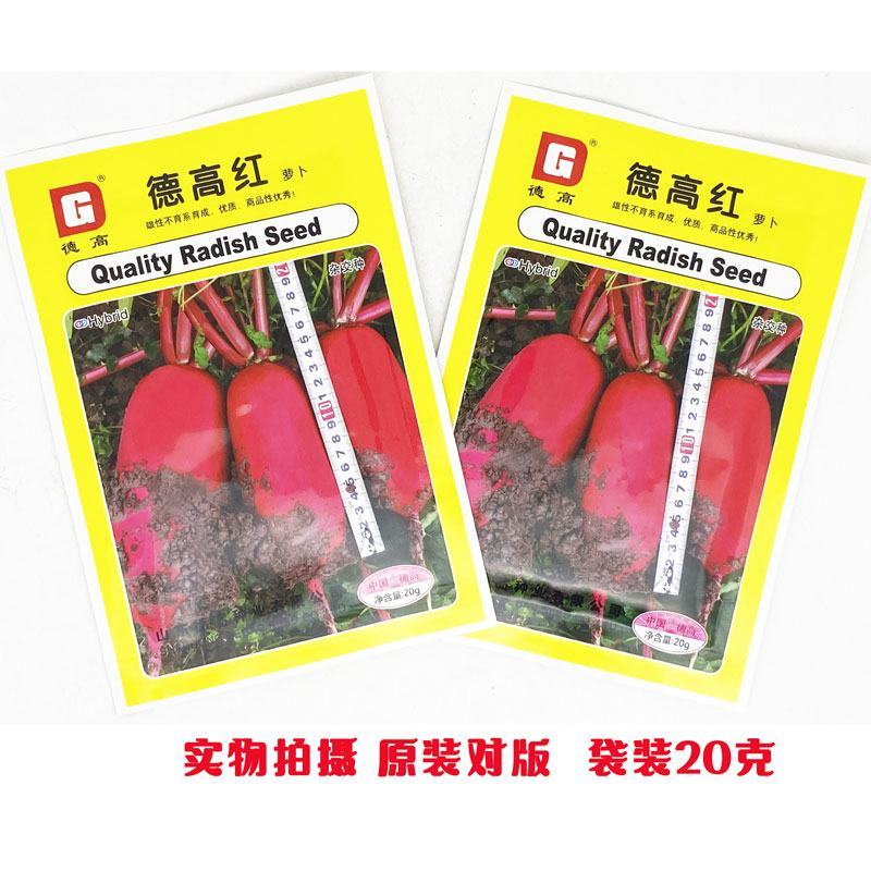 德高红杂交满身红萝卜种子高产55-65天红皮白肉萝卜种