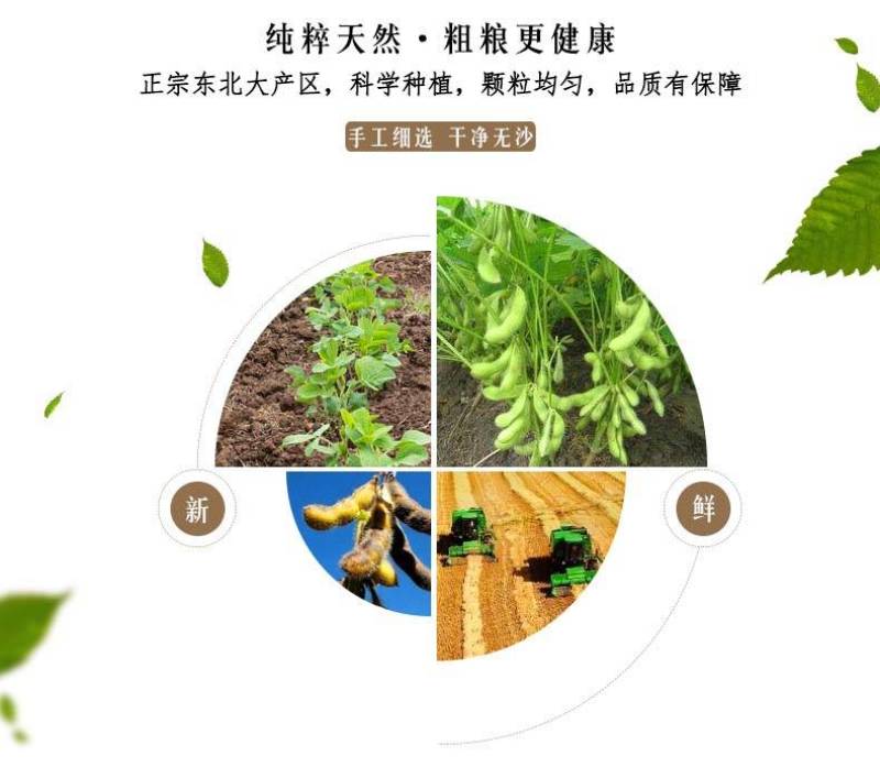 精品东北黄豆6斤装豆浆豆腐豆芽可用支持电商一件代发