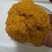 食用菌