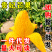 贵妃芒芒果一件代发红金龙芒果非水仙金煌芒『电商供应』