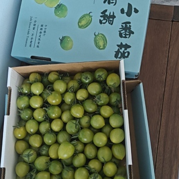高糖口感特色番茄
