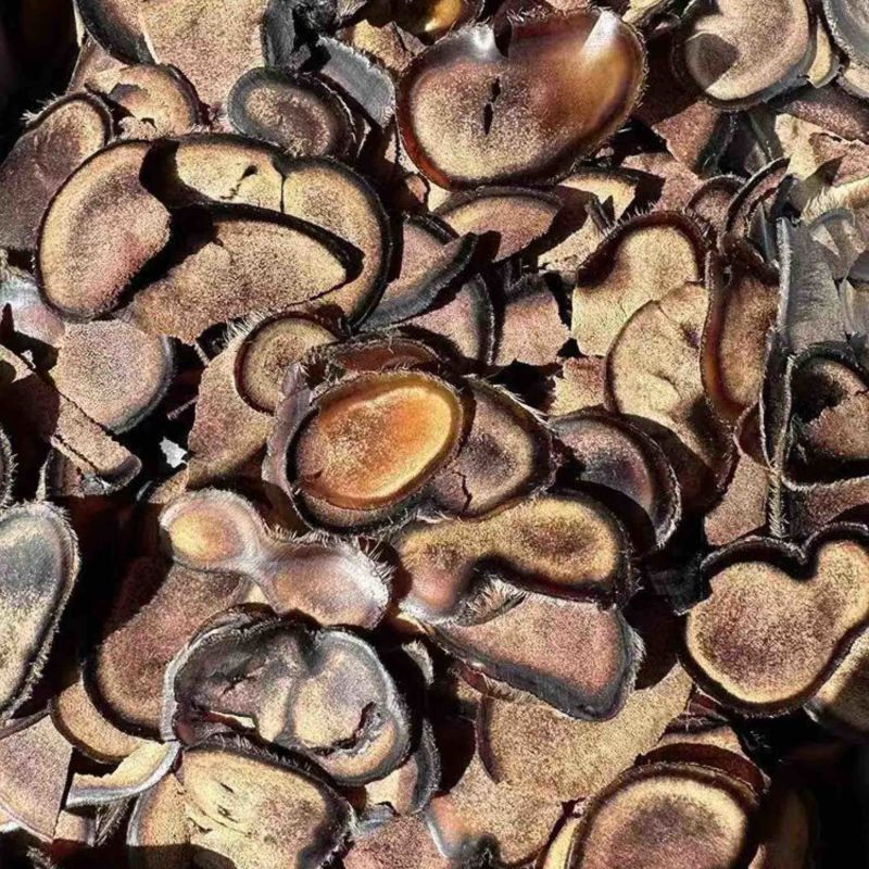 吉林双阳鹿茸片碎片质量保证诚信经营欢迎咨询
