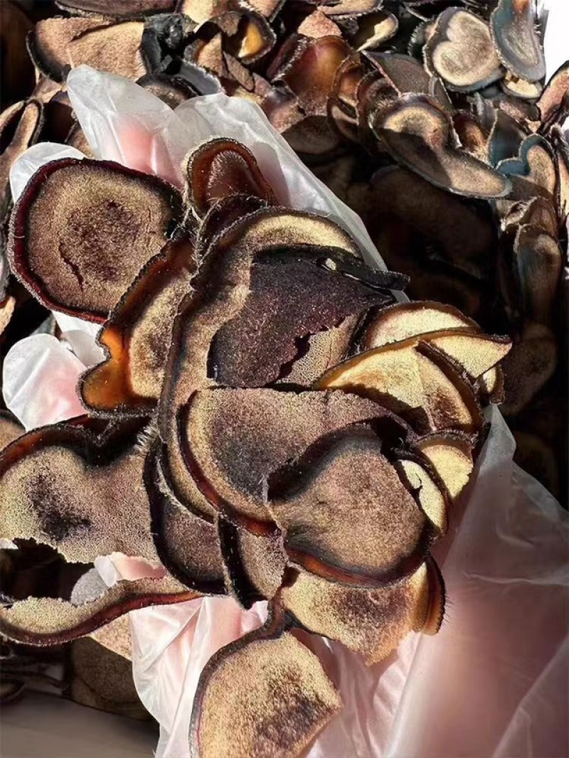 吉林双阳鹿茸片碎片质量保证诚信经营欢迎咨询