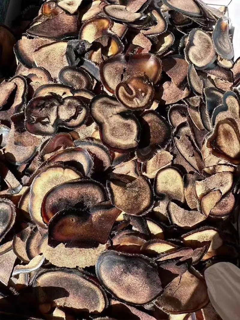 吉林双阳鹿茸片碎片质量保证诚信经营欢迎咨询
