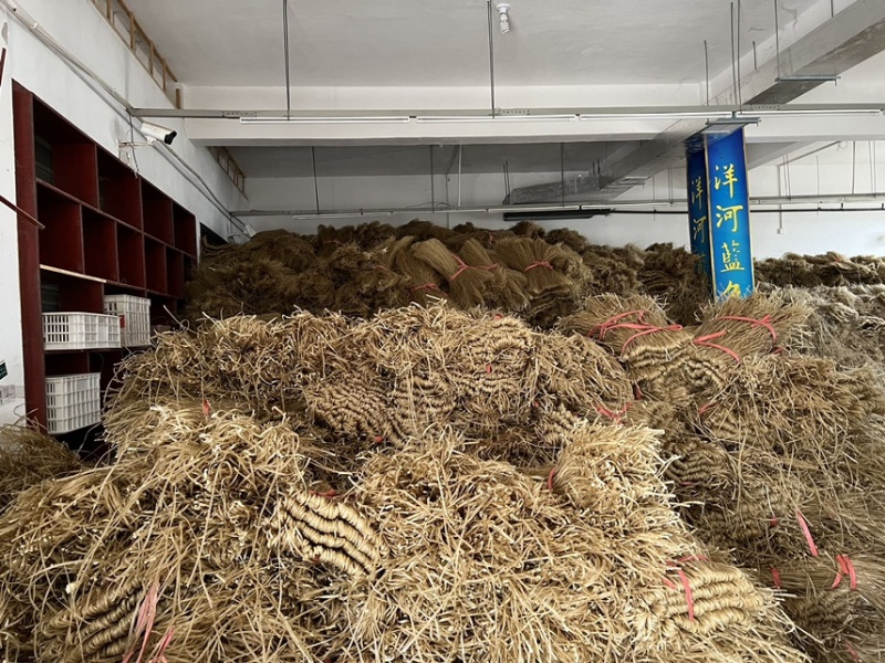 红薯粉条