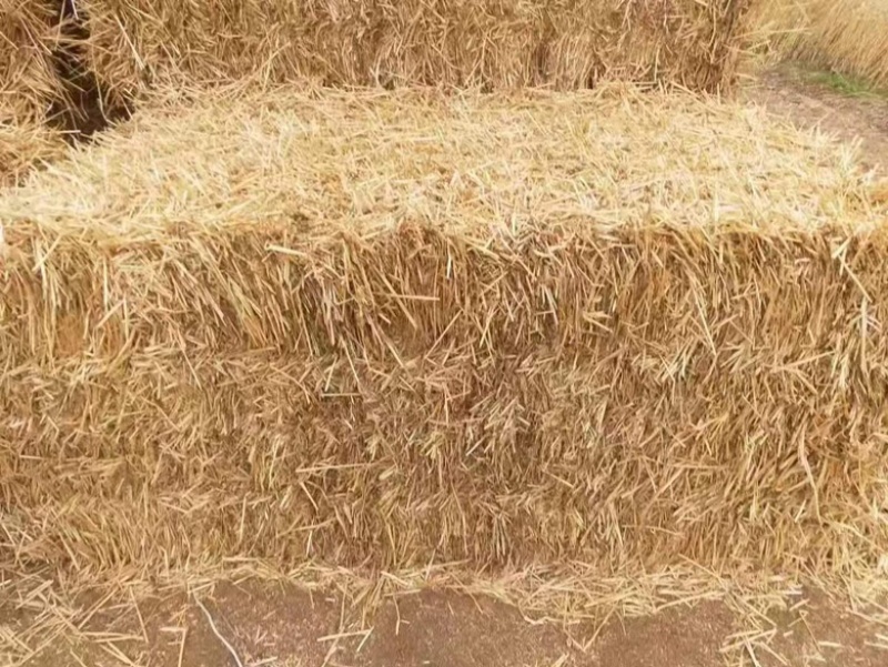 小麦秸秆，二次加工揉丝包块