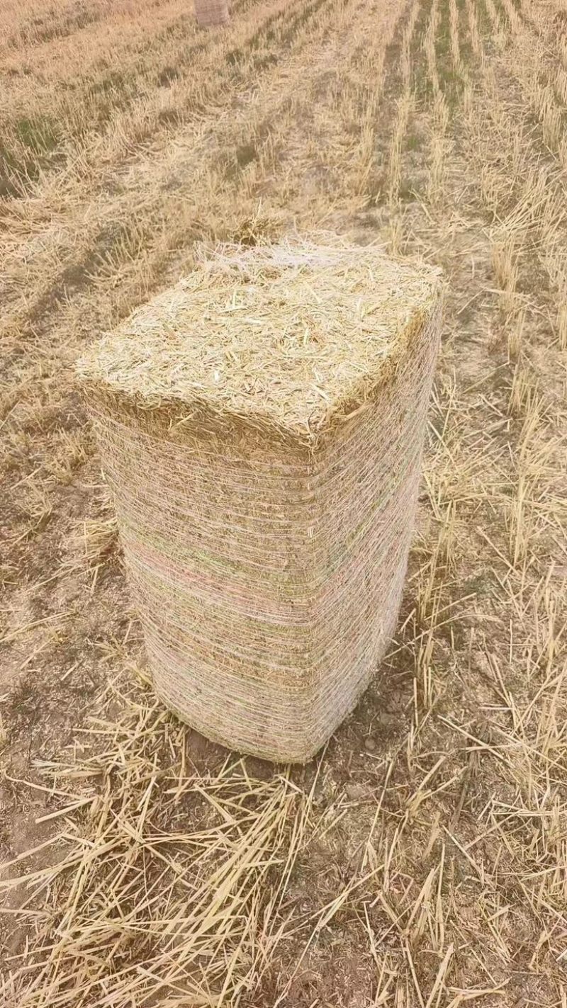 小麦秸秆，二次加工揉丝包块