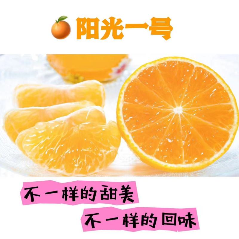 阳光一号