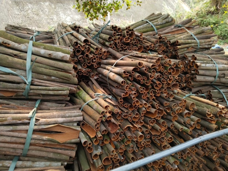 越南桂皮保证质量无任何添加任何防腐的纯野生的天然