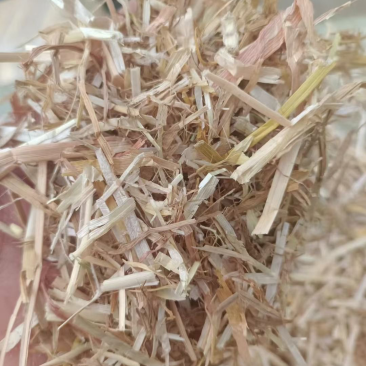 常年出售小麦秸秆,二次加工包块,牛草