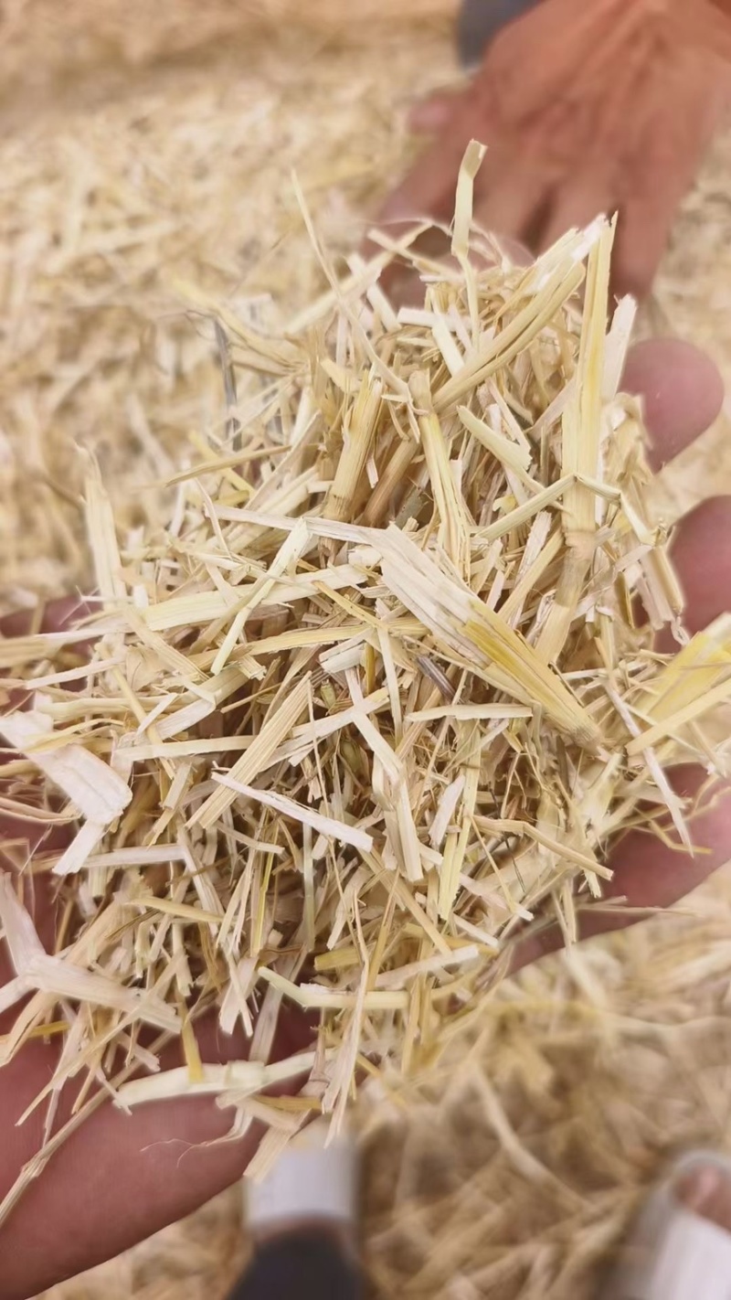 常年出售小麦秸秆，二次加工包块，牛草
