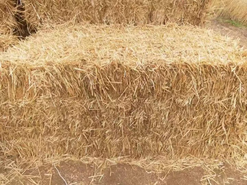小麦秸秆，大方捆，圆捆，二次加工包块