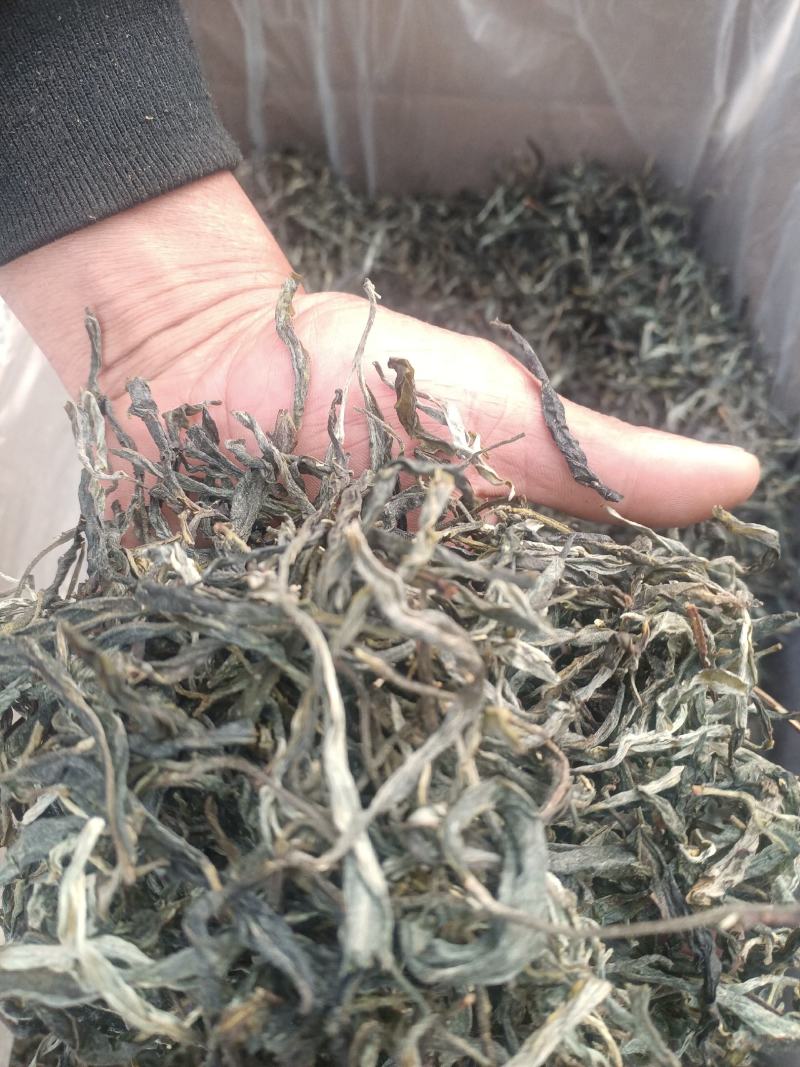 茶叶云南古树茶生普自产自销的回甘好耐泡有喜欢新老客户可系