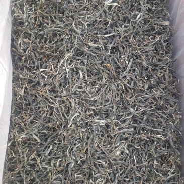 茶叶云南古树茶生普自产自销的回甘好耐泡有喜欢新老客户可系