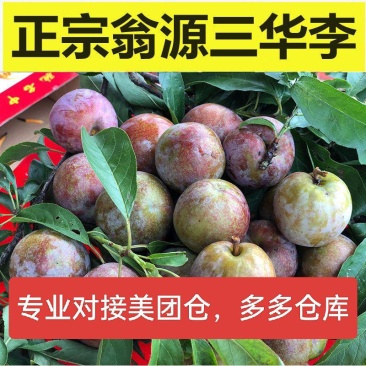 正宗韶关翁源三华李，专业对接美团仓/多多仓长期稳定供应！